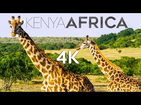 KENYA AFRICA IN 4K (ULTRA HD)