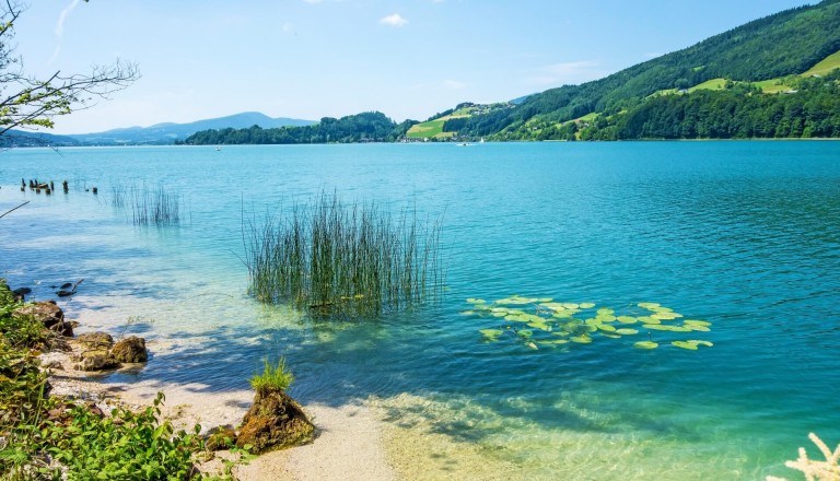 Oesterreich-See-Natur