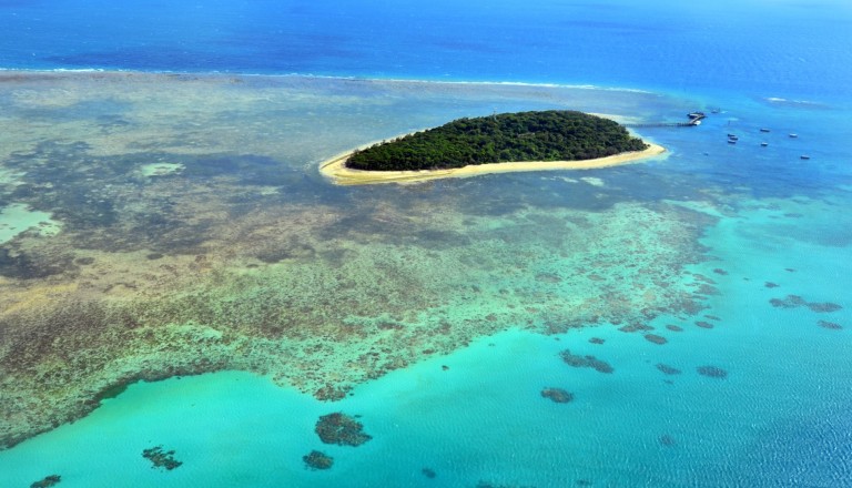 Die Green Island unweit von Cairns