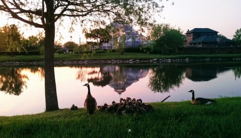 Belle Isle Park Detroit