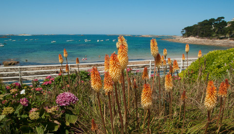 Bretagne Strand