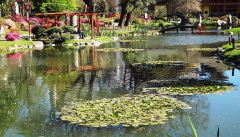 Buenos Aires - Japanische Garten lake