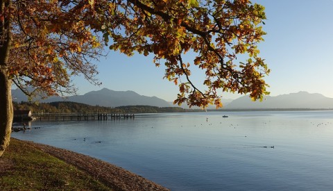 Chiemsee