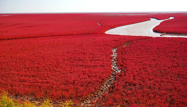 Pauschalreise-roter-Strand