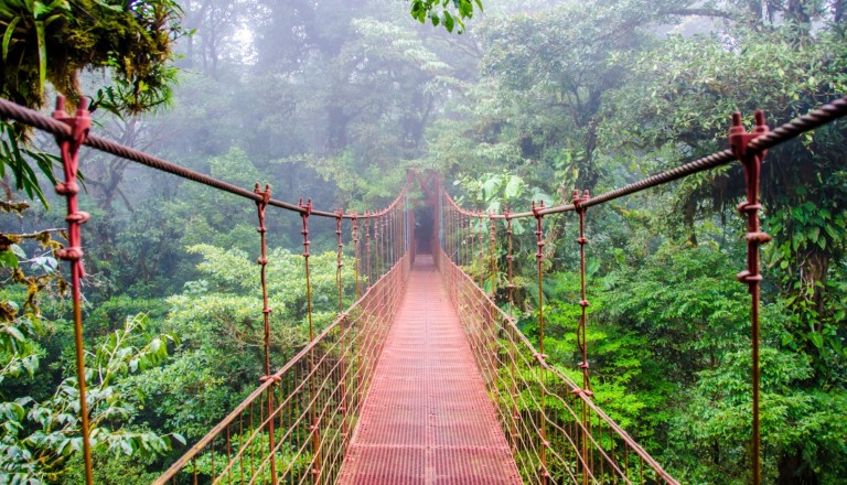 Erkunden Sie den Regenwald von Costa Rica - Hier Monterverde.