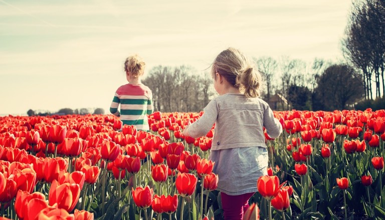 Familienurlaub in den Niederlanden