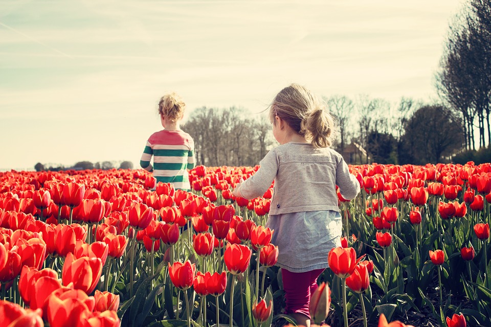 Familienurlaub in den Niederlanden