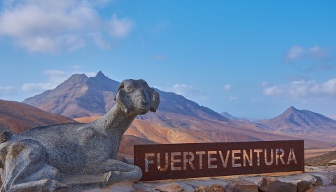 Fuerteventura 