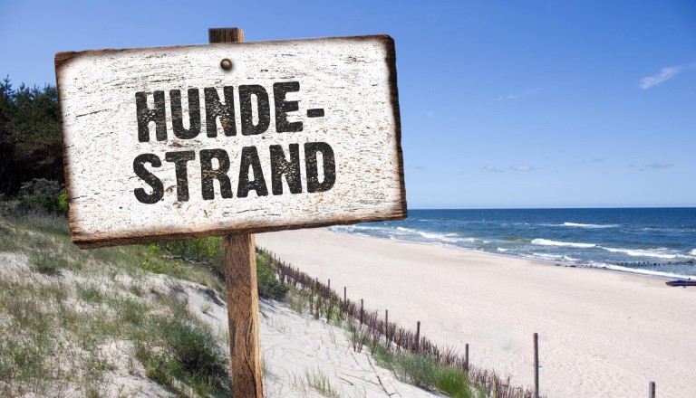 Hundestrand-Ostsee