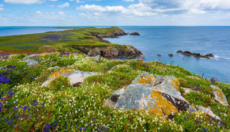 Besuchen Sie die Grüne Insel Irland Reisen