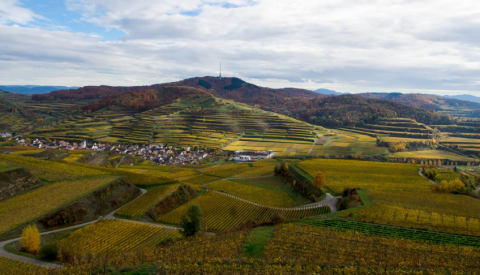 Kaiserstuhl