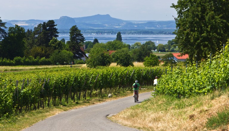 Konstanz ist das ideale Urlaubsziel für Aktivurlauber.