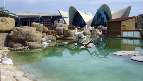 L´Oceanográfic, Valencia