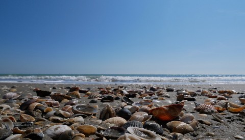 Lido di Venezia