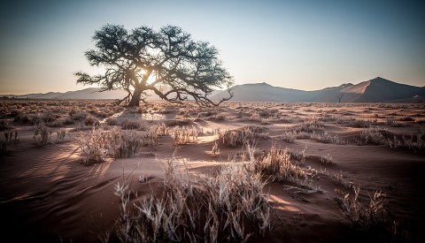 Namibia