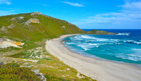 Here are our top 5 of New Zealand's most beautiful beaches: