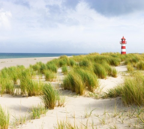 2 Tage Nordsee Urlaub in Büsum inkl. Frühstück