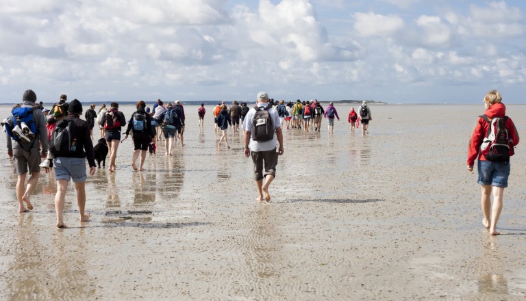 Wattwanderung-Nordsee