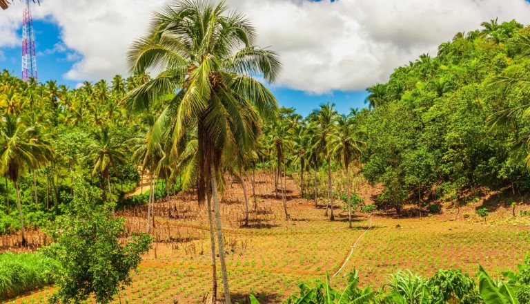 Panamas Nationalpark in Darien.