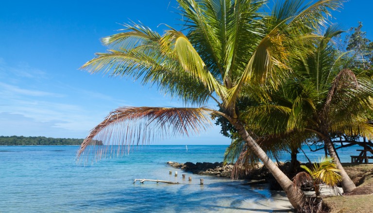 Karibikzauber in der Region Bocas del Tora! Panama Reisen