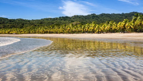 Playa Carrillo