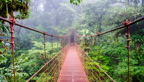 Regenwald Costa Rica