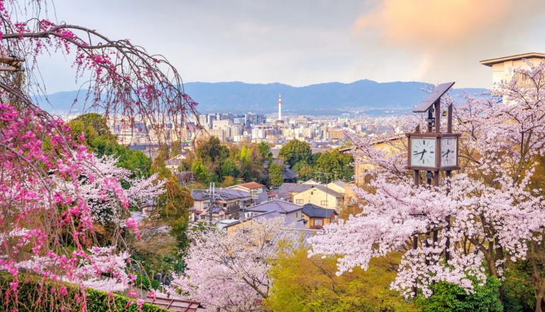 Kyoto während der Kirschblüte.