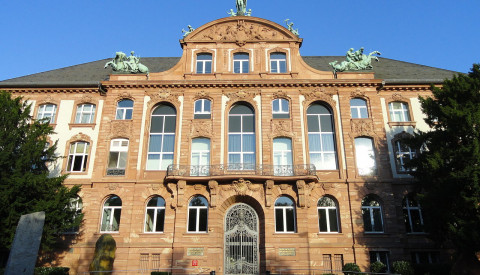 Das Senckenberg Museum in Frankfurt