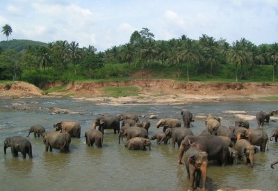 Sri Lanka