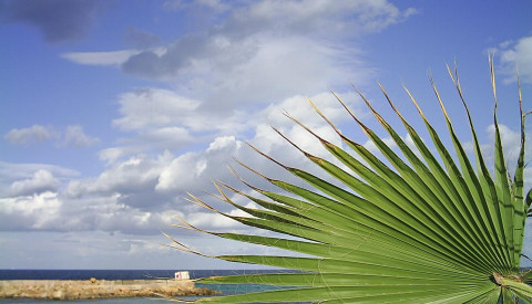 Strand in Sousse, Tunesien