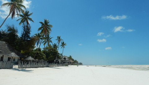 Strand auf Sansibar