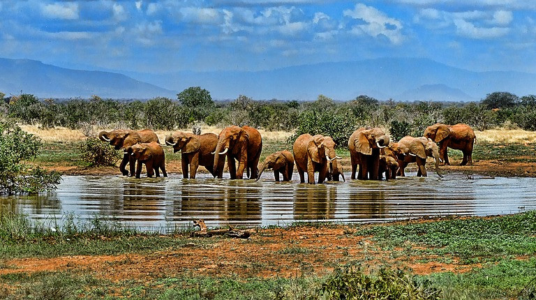 Südafrika Nationalpark