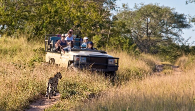 Südafrika Wildnis