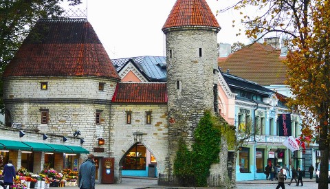 Tallinn Altstadt