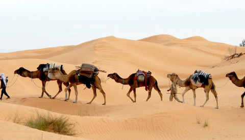  Sahara - die größte Trockenwüste der Erde