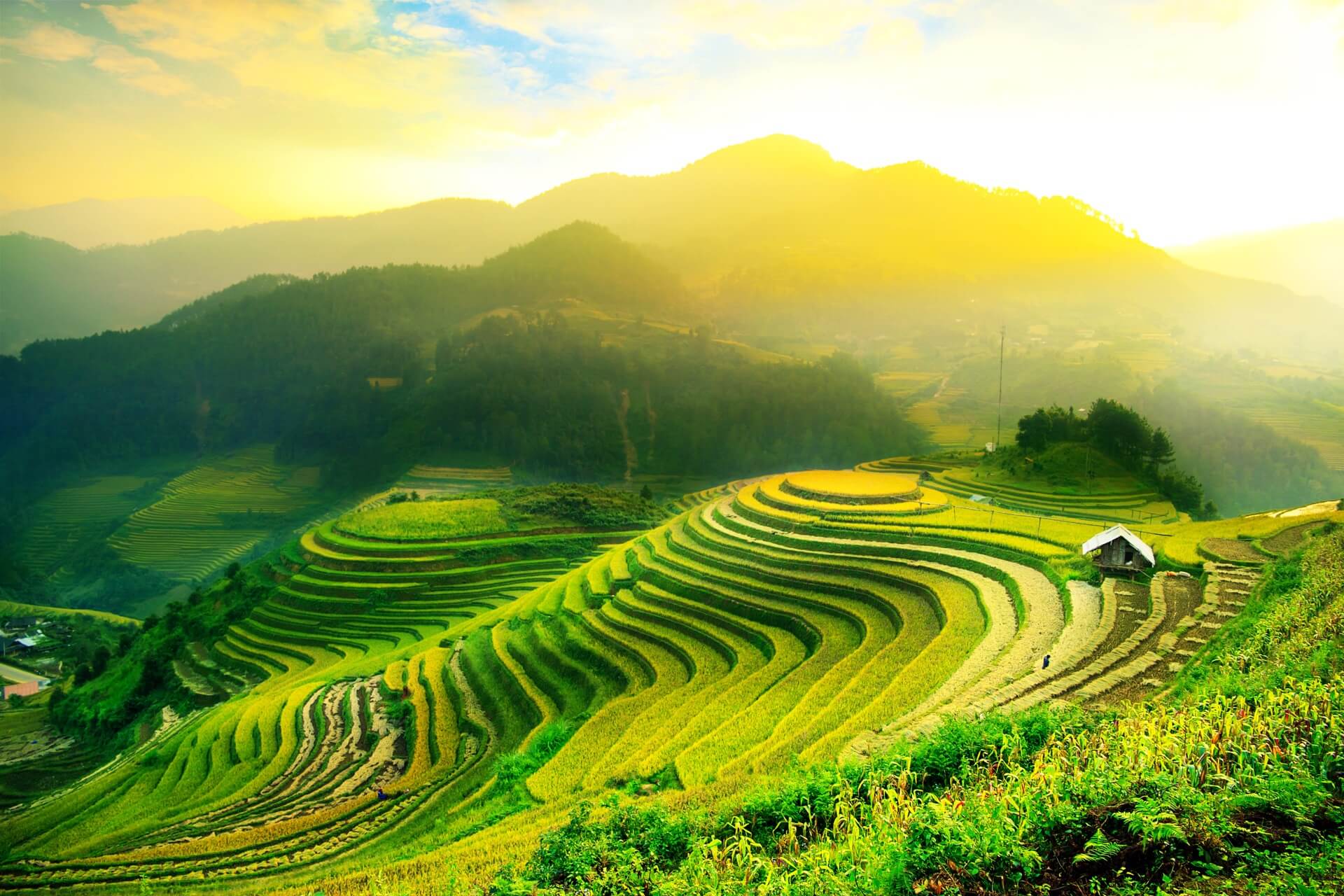 Pauschalreise-Vietnam-Landschaft