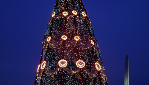 Washington Dc - National Christmas tree