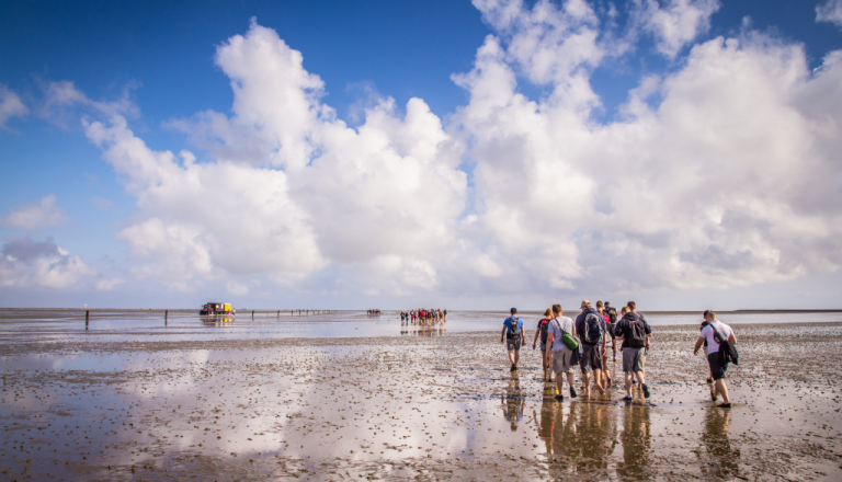 Wattenmeer Wangerooge