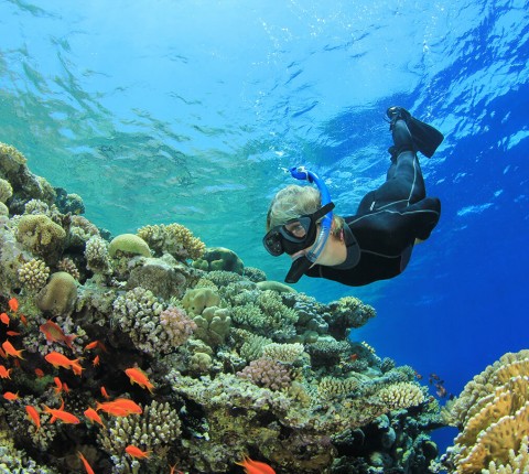 An Ostern zum Top-Preis Safaga - Sharm El Naga Beach