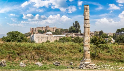 Artemis Tempel Säule