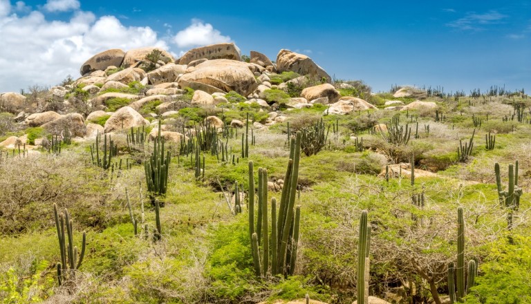 Der Arikok Nationalpark auf Aruba.