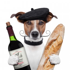 Baguette Hund Wein