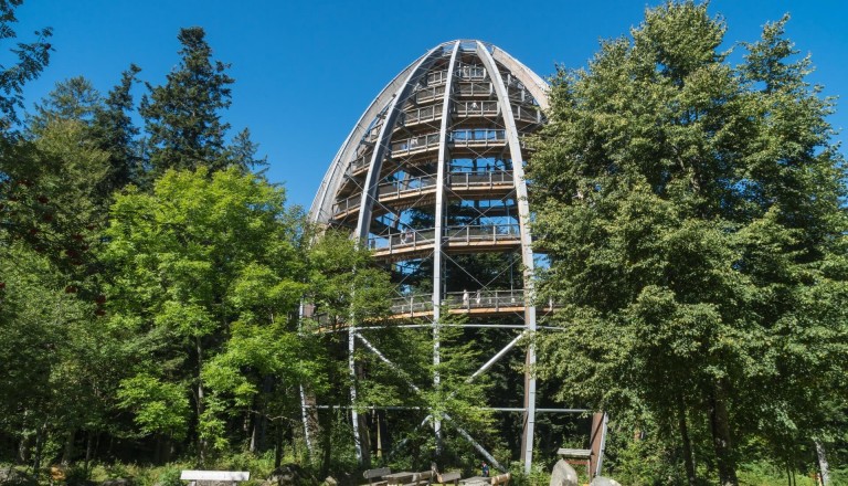 Baumturm im Nationalparkzentrum Lusen.