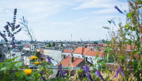 Berlin - Neukölln