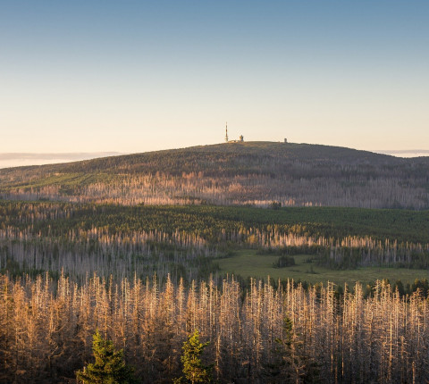 Frühbucher Wellness-Urlaub im Harz inkl. Halbpension