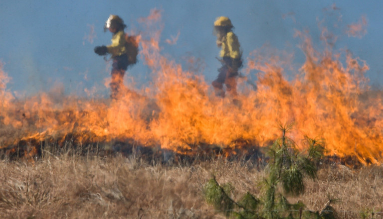 Buschfeuer