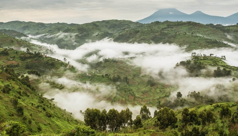 Bwindi Nationalpark Uganda