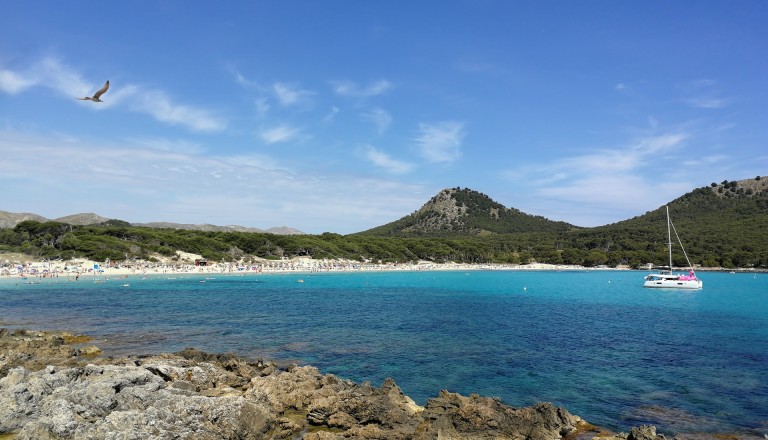 Cala Ratjada Mallorca Cala Agulla