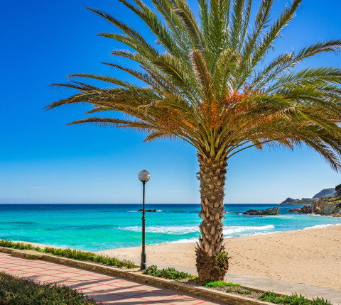 Last Minute Strandurlaub auf Mallorca: 7 Tage inkl. Flug, Transfer, Zug & HP Plus