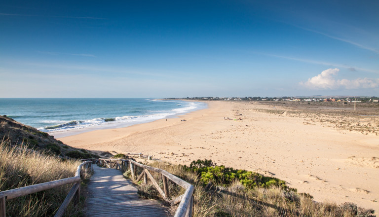 Cape of Trafalgar